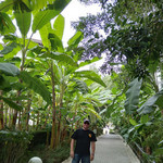 sergey, 59