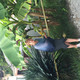 inna, 72