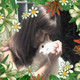 Kitty, 36