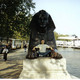 Paul, 38