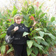 aprelina, 66