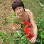 Tatyana, 72 (9 ����, 0 �����)