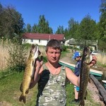 ������, 44