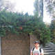 Artur, 39 (1 ����, 0 �����)