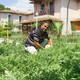 Mustafa, 61