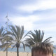 sandris, 38