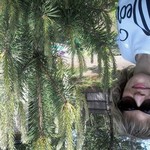 �����, 41