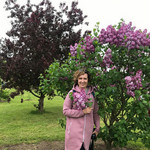 Inga, 52 (3 ����, 0 �����)