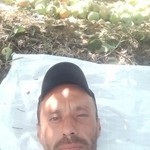 Roman, 45