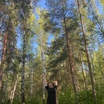 �������, 38