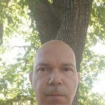 ��������, 43