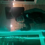 Nikola, 47 (2 ����, 0 �����)