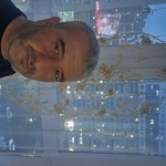 Zaur Mirzai, 42 (2 ����, 0 �����)